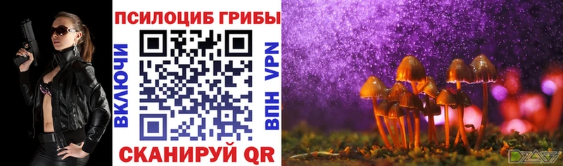 Галлюциногенные грибы Psilocybe цена наркотик Княгинино